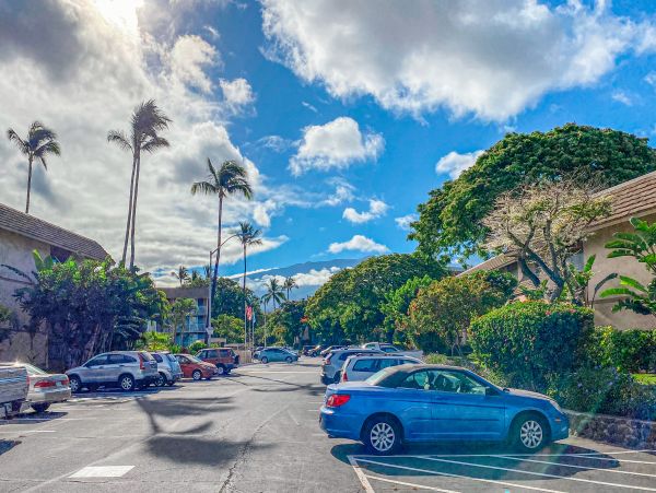 Wailea Home 1017522