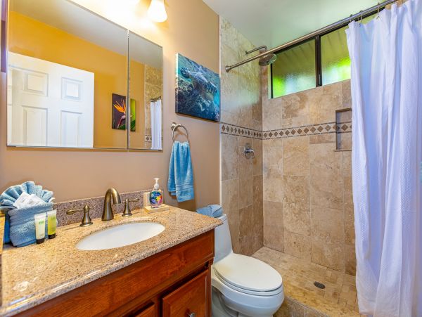 Kihei Home 1017523