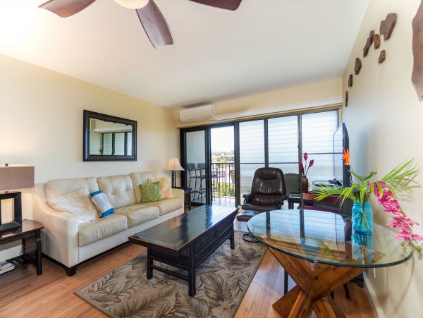 Wailea Home 1017524