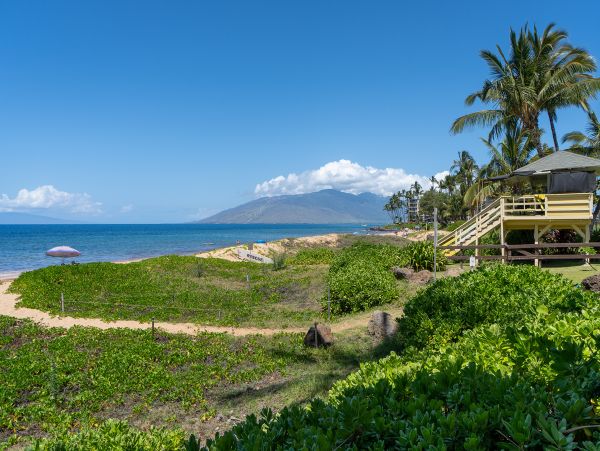 Wailea Home 1017524