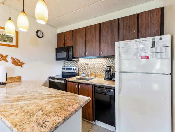 Wailea Home 1017526