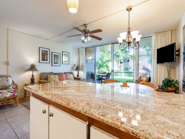 Wailea Home 1017526