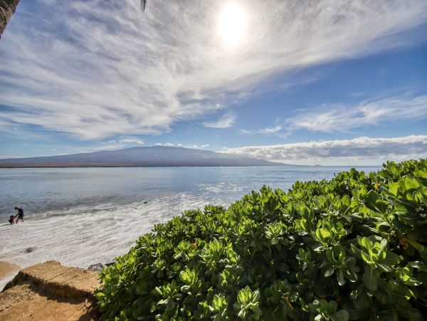 Kihei Home 1017531