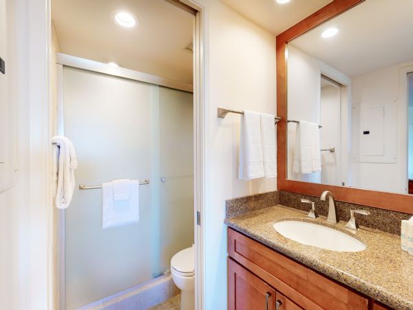 Wailea Home 1017536