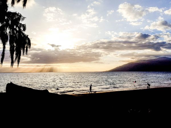 Wailea Home 1017536