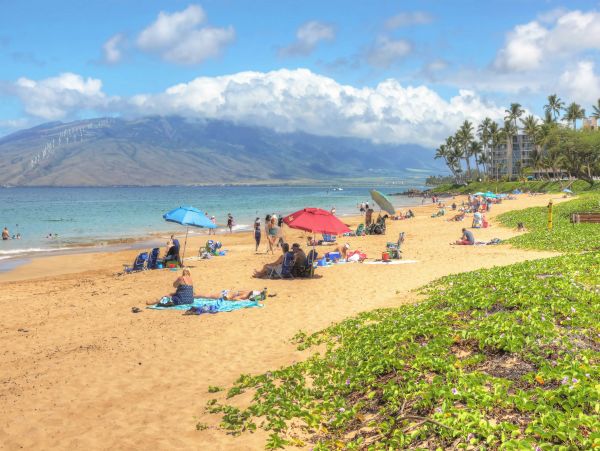 Wailea Home 1017536
