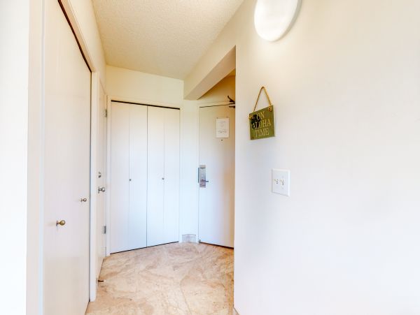 Wailea Home 1017537