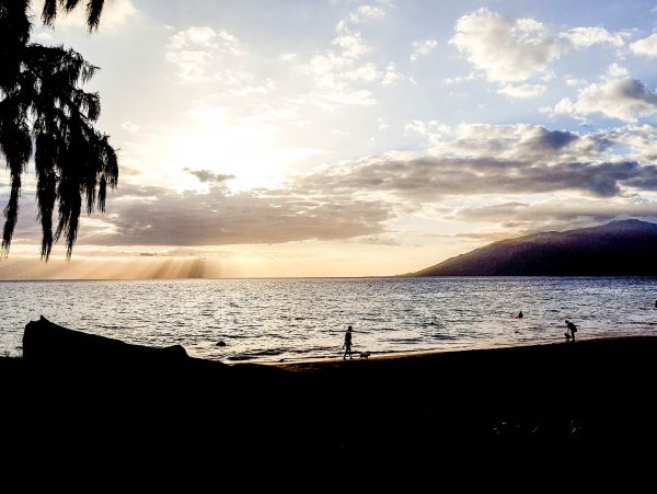 Wailea Home 1017537