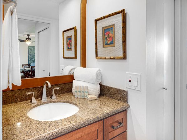 Wailea Home 1017538
