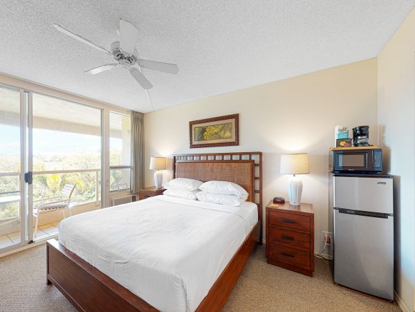 Wailea Home 1017538
