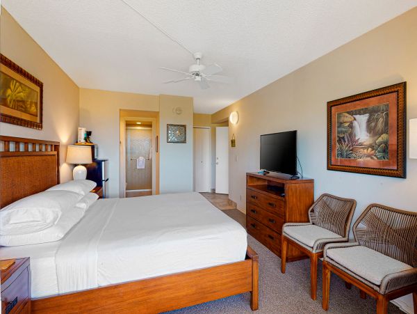 Wailea Home 1017538