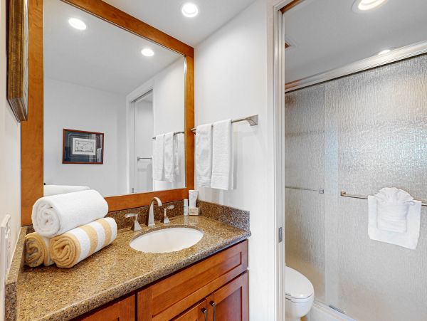 Wailea Home 1017538