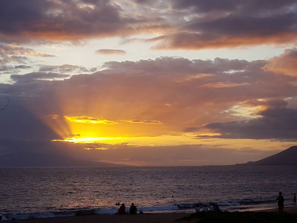 Wailea Home 1017538