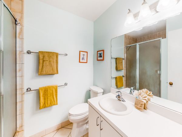 Wailea Home 1017539