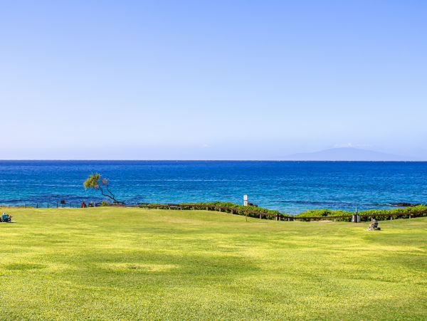 Wailea Home 1017540