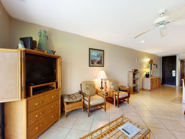 Wailea Home 1017543
