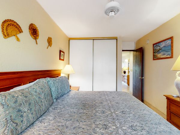 Wailea Home 1017543