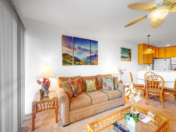 Wailea Home 1017544