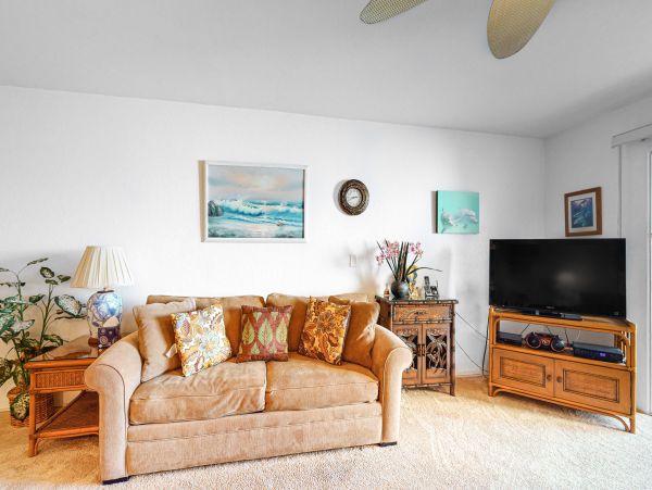 Wailea Home 1017544