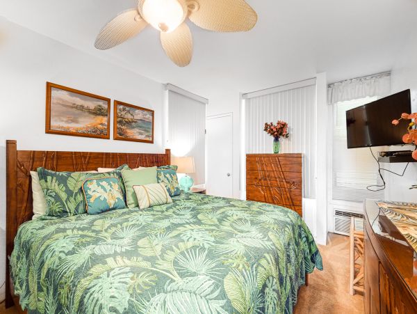 Wailea Home 1017544