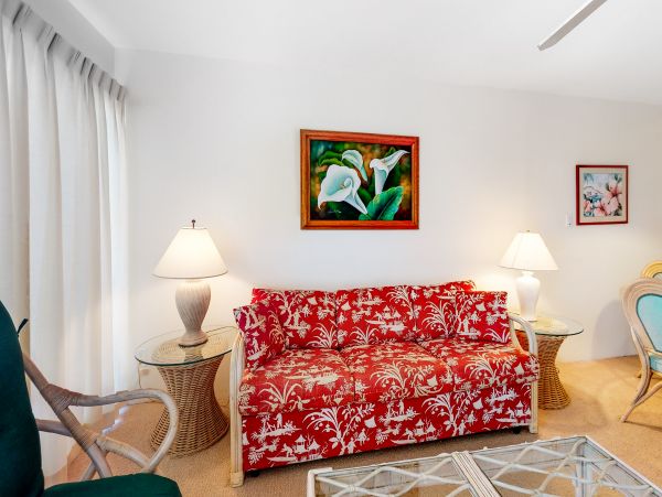 Wailea Home 1017545