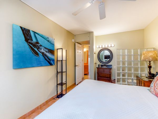 Wailea Home 1017546