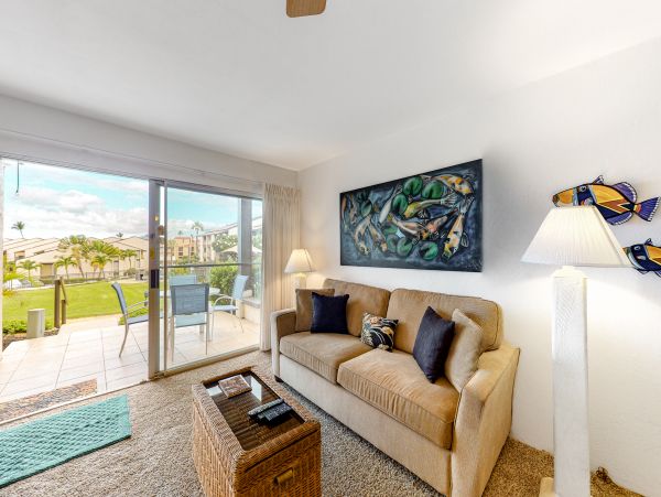 Wailea Home 1017547