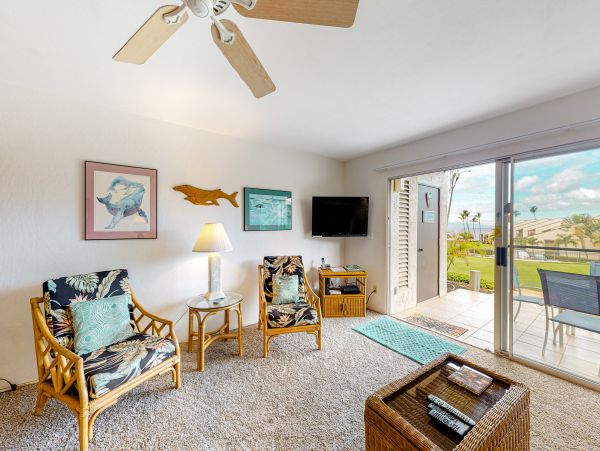 Wailea Home 1017547
