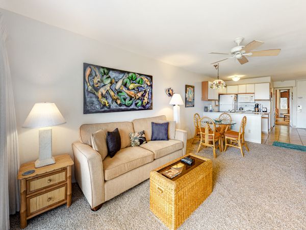 Wailea Home 1017547