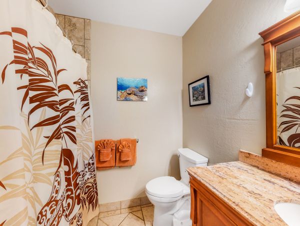 Wailea Home 1017548