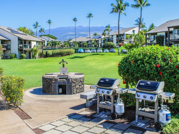 Wailea Home 1017549