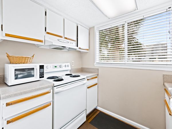 Destin Condo 1017557