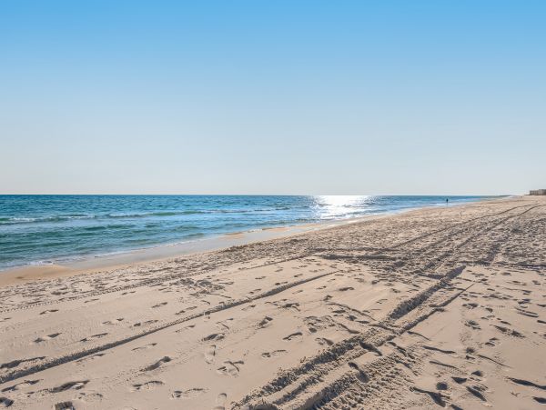 Destin Condo 1017559