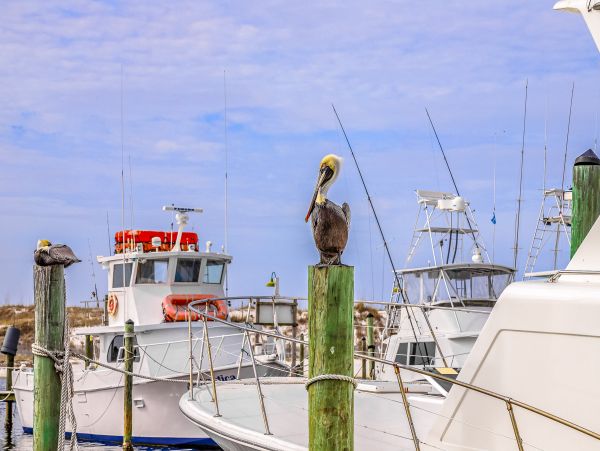 Destin Home 1017634