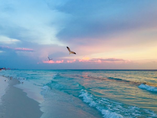 Destin Condo 1017649
