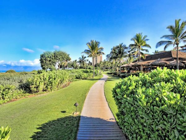 Kaanapali Condo 1017731