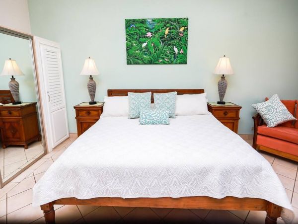 Tamarindo Condo 1017740