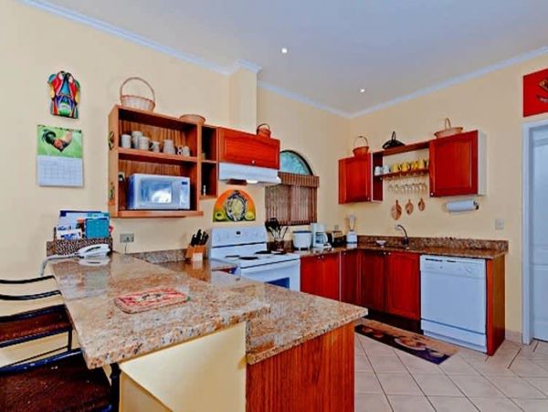Tamarindo Home 1017743