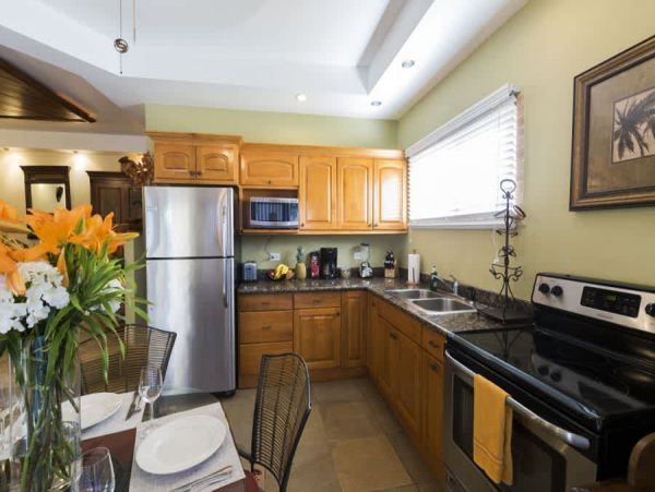 Tamarindo Home 1017748