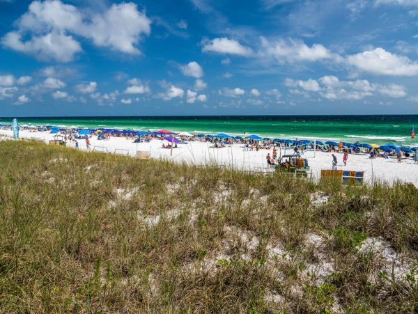 Beaches Of South Walton Condo 1017792
