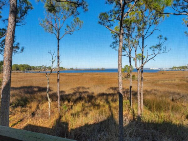 Beaches Of South Walton Condo 1017794