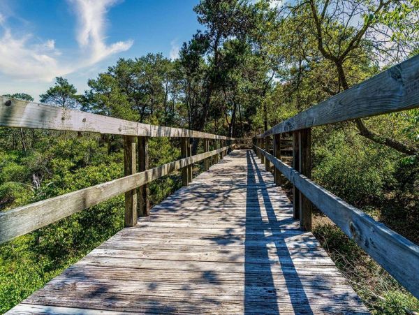 Beaches Of South Walton Condo 1017800