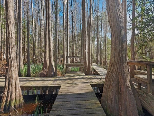 Beaches Of South Walton Condo 1017806