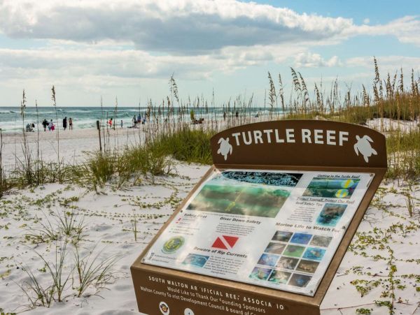 Beaches Of South Walton Home 1017815