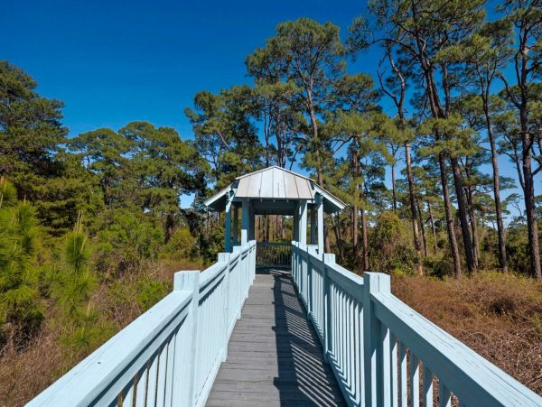 Beaches Of South Walton Home 1017817