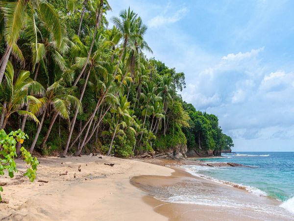 Wonderful Puntarenas Rental 6 Bedroom plus loft Sleeps 18