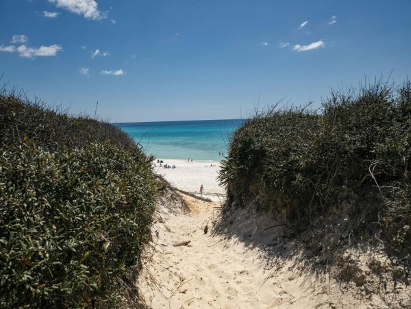 Beaches Of South Walton Home 1017834