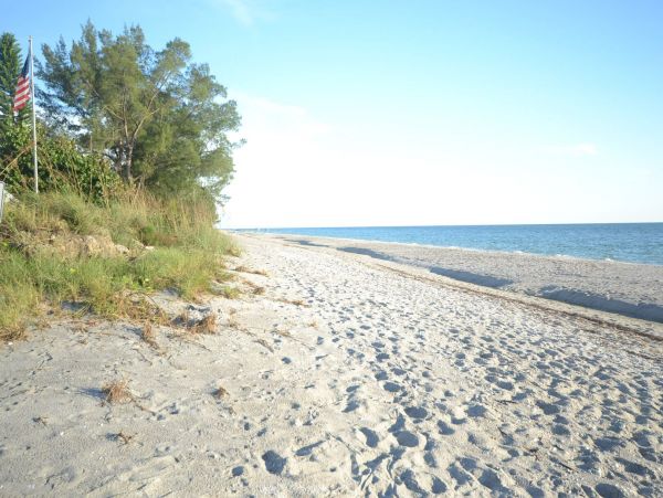 Lovely 3 Bedroom Home with Pool & Spa Walk to Beach