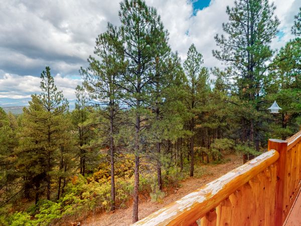 Breckenridge Home 1017854