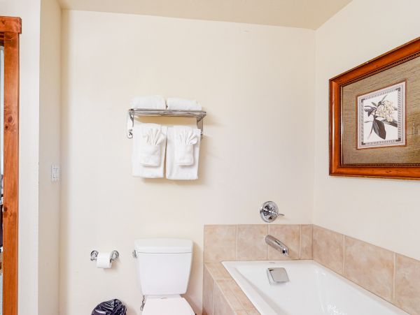 Breckenridge Home 1017859